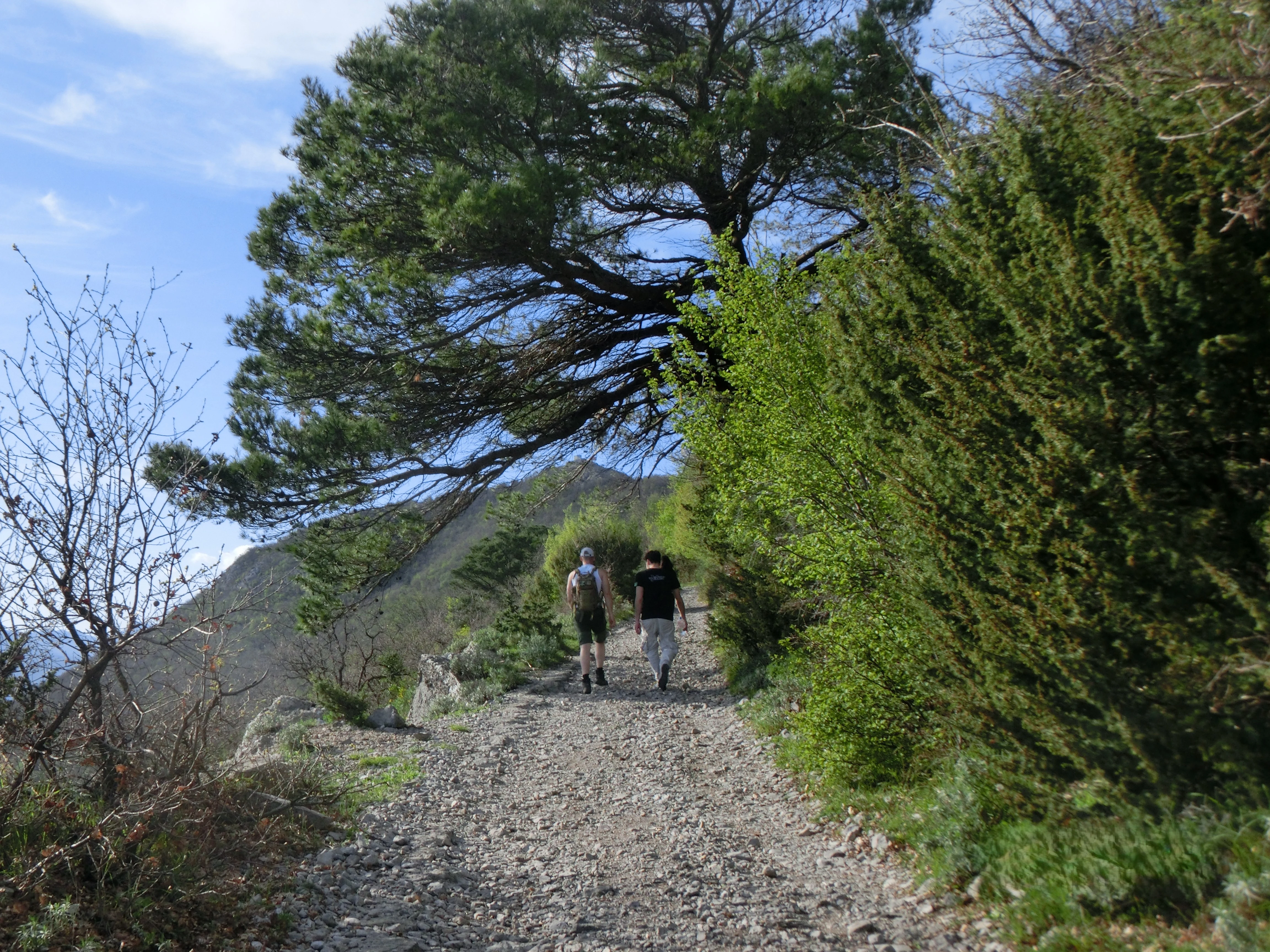 vrmac Ridge Hike