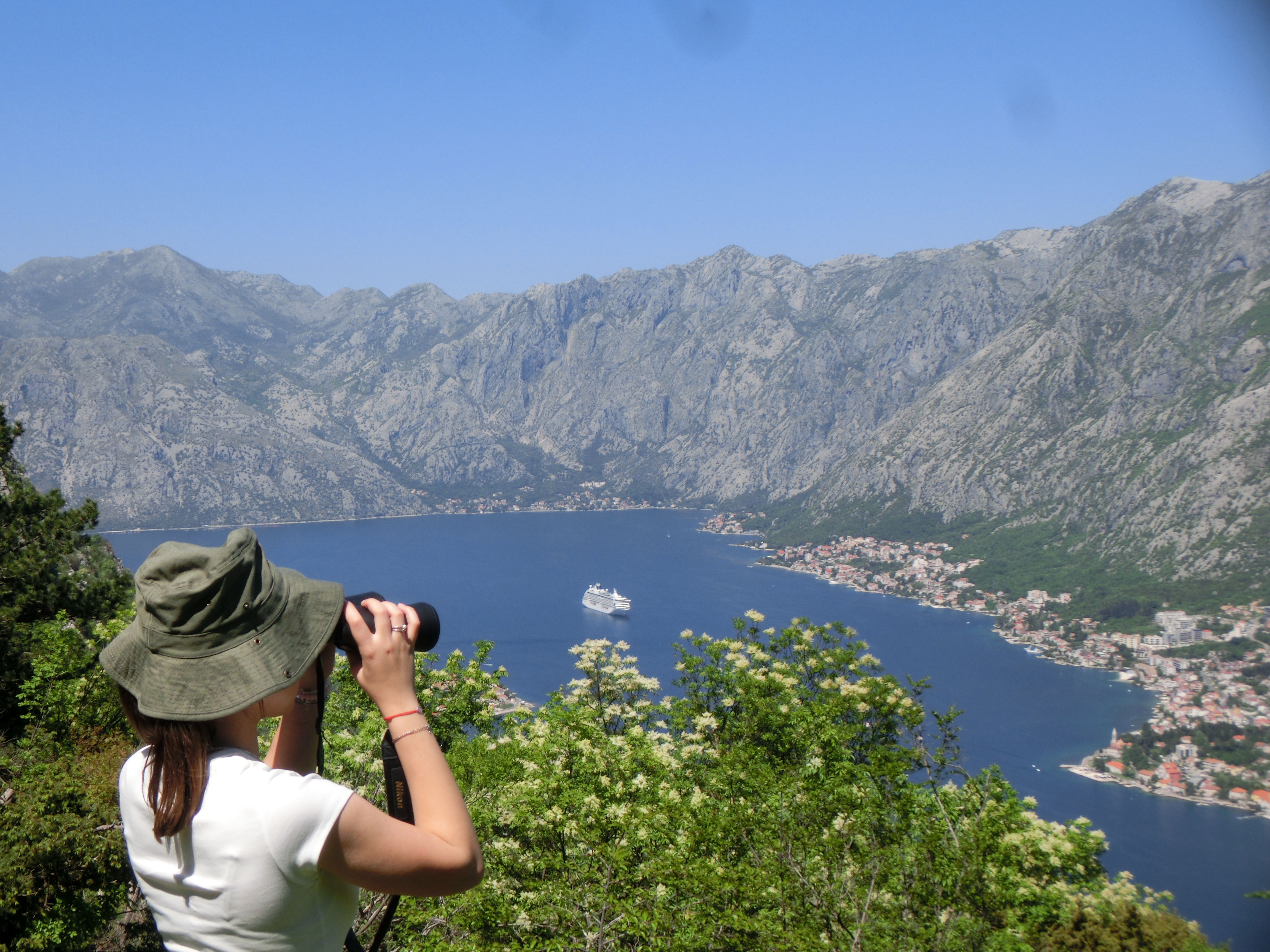 Kotor Bay Sightseeing